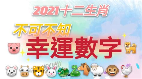 屬狗今日財運方位|十二生肖「幸運數字、幸運顏色、大吉方位」！跟著做運勢、財運。